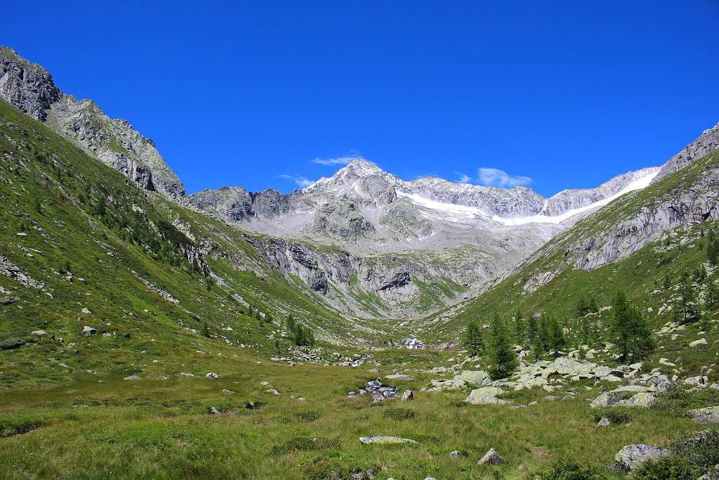 Appartement Haus Hopfgartner - Bergwandern